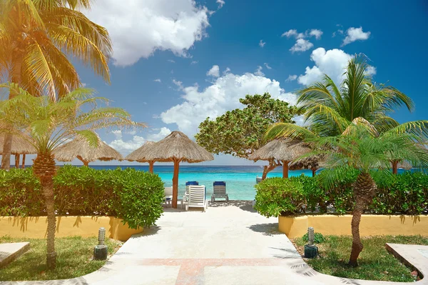 Cabana in tropisch strand — Stockfoto