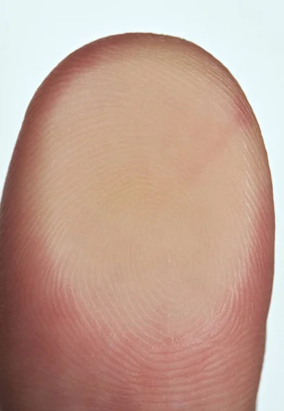 Макрос пальця ліній великого пальця — стокове фото