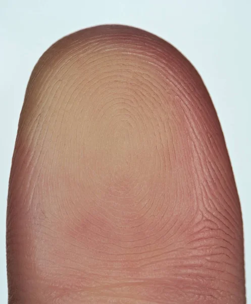 Друк пальця великого пальця — стокове фото