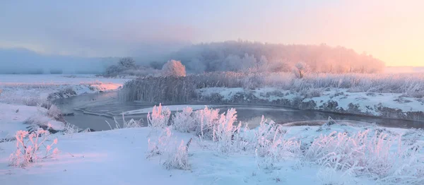 Prado nevado y hierba con escarcha iluminada por el sol naciente . — Foto de Stock