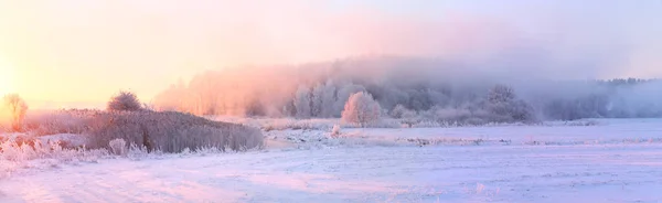 Paysage hivernal lumineux — Photo