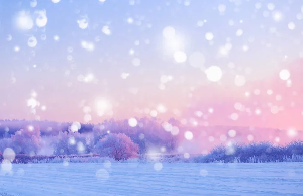 白い雪とクリスマスの背景。冬の朝の風景 — ストック写真