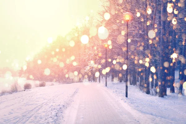 Copos de nieve de color en el fondo del parque de invierno. Nieve en el parque . —  Fotos de Stock