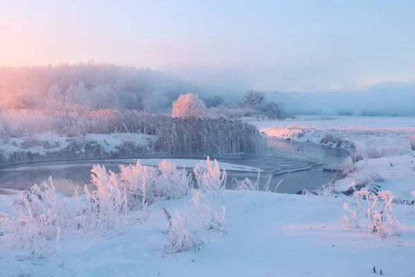 Frostiger Wintersonnenaufgang — Stockfoto
