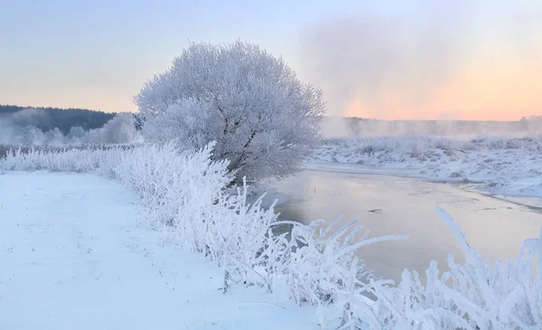 Tema Natale inverno — Foto Stock