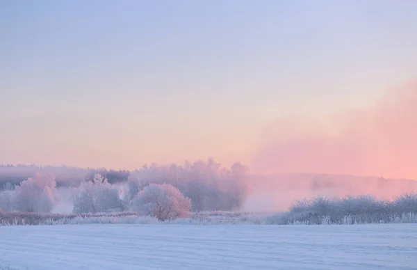 Color cielo de Navidad por encima del campo cubierto de nieve —  Fotos de Stock