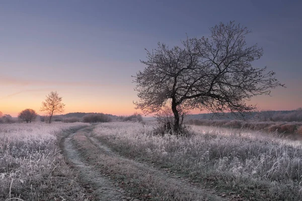 밝은 겨울 새벽 — 스톡 사진