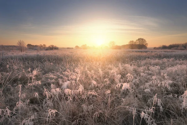 Zimní ráno pozadí s paprsky slunce — Stock fotografie
