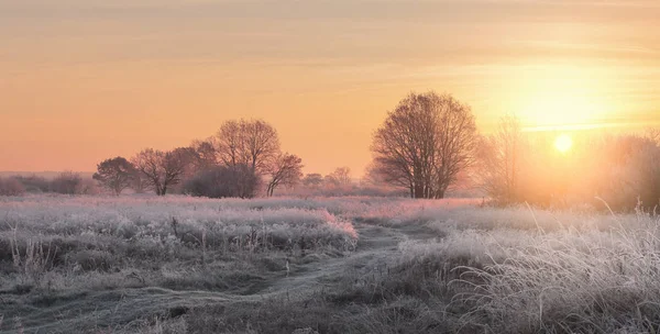 Kerstmis achtergrond met fel zonlicht — Stockfoto