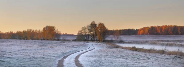 Strada di campagna in un campo innevato — Foto Stock