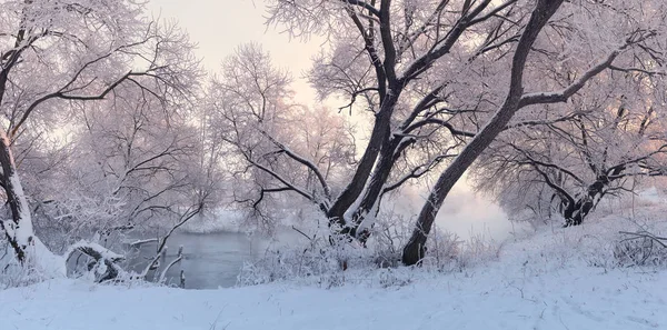 화려한 겨울 풍경입니다. Winer 일출의 파노라마. — 스톡 사진
