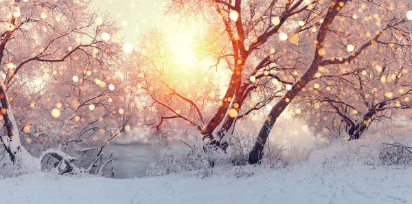 Mañana de Navidad soleada. Sol iluminar copos de nieve . — Foto de Stock