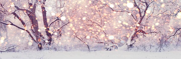 Mañana de Navidad en Central Park. Fondo de invierno nevado . — Foto de Stock
