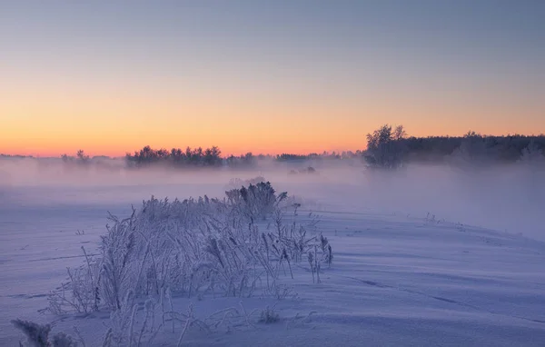 안개 낀 겨울 새벽입니다. 화려한 크리스마스 배경. — 스톡 사진