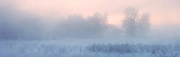 안개 낀 겨울 파노라마 풍경입니다. 미스 티 크리스마스 아침. — 스톡 사진