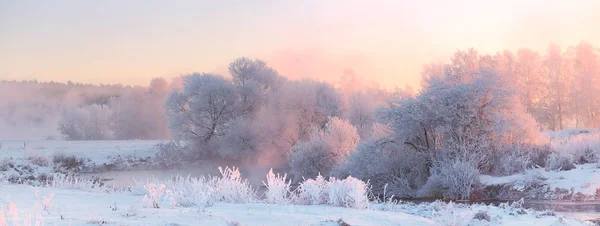 Heldere winter zonsopgang. Witte frosty bomen op kerstochtend. — Stockfoto