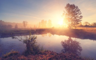 Yaz parlak arka plan. Sabah yaz manzara.