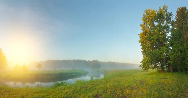 Panorama-Frühlingshintergrund mit aufgehender Sonne und Blütenwiese — Stockfoto