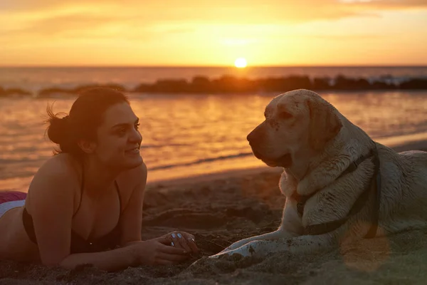 Labrador köpek kadınla — Stok fotoğraf