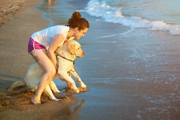 Labrador scary of water — Stock Photo, Image