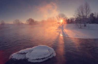 Kış arka plan parlak yapraklara ile.