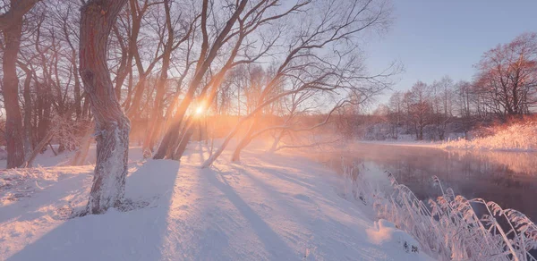 Fundo de inverno ensolarado com raios de sol — Fotografia de Stock