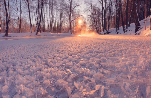 El sol de invierno brilla sobre cristales de hielo — Foto de Stock