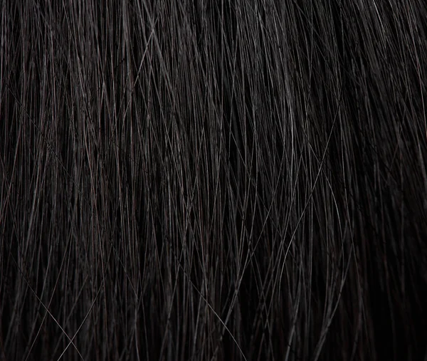 Μακρο των ανθρώπινων μαλλιών — Φωτογραφία Αρχείου