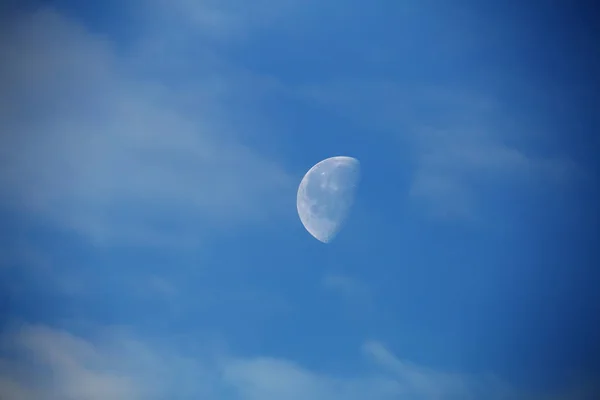 White moon in sky — Stockfoto