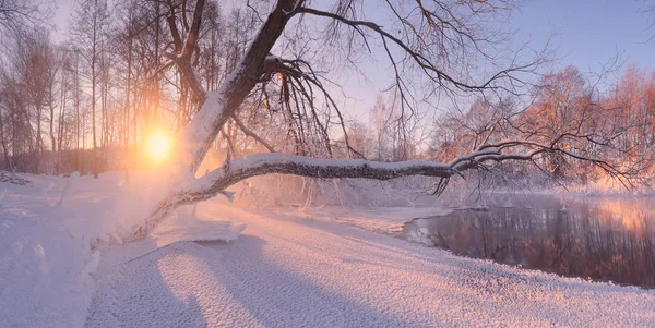 Amanecer soleado invierno —  Fotos de Stock