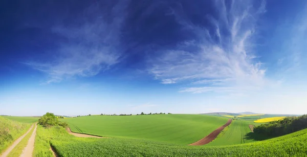 Frühlingslandschaft aus grünen Wiesen — Stockfoto