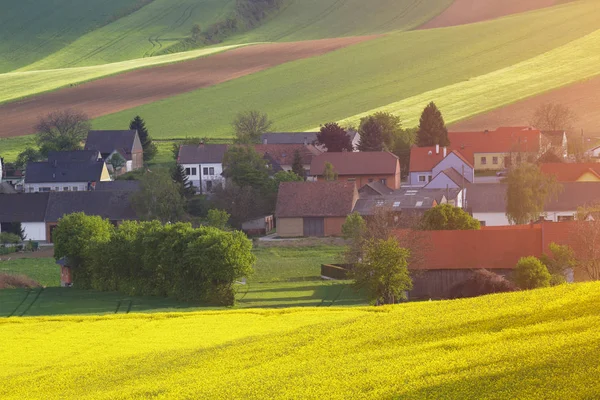 Våren kvällen landsbygdens scen — Stockfoto