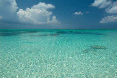 Karayip mavi deniz suyu