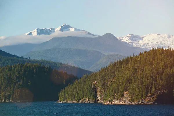 Fiordi dell'Alaska durante l'estate — Foto Stock