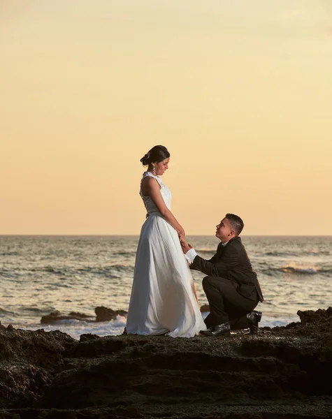 Ženich stojí na kolena a držet za ruku nevěsty — Stock fotografie