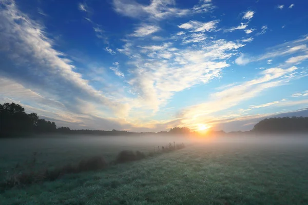 Ren genomskinlig luft över grön äng — Stockfoto