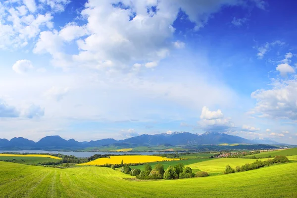 Bright summer day — Stock Photo, Image