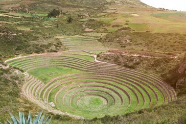 Kutsal vadi Moray Peru Cusco