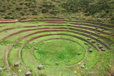 Yuvarlak Inca circlular teraslar