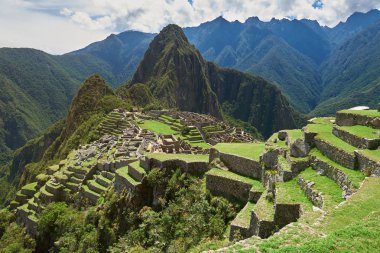 Machu Picchu yeşil teraslar