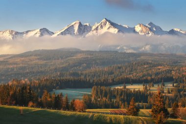 Alp Vadisi'nde güneşli sabah
