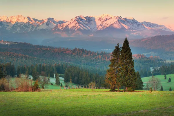 Primavera mañana paisaje — Foto de Stock