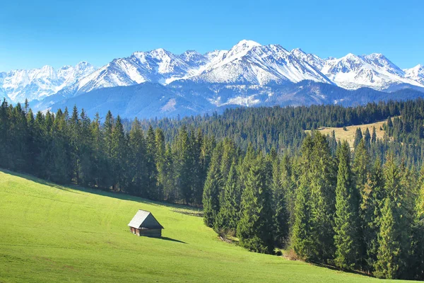 Valle verde en las estribaciones alpinas — Foto de Stock