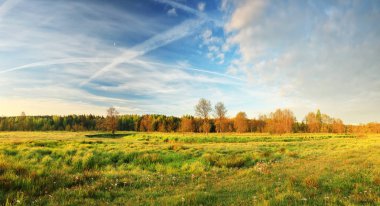 Güneşli bir günde Yeşil Vadi