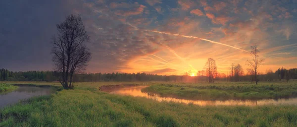 Aufgehende Sonne über der grünen Wiese — Stockfoto