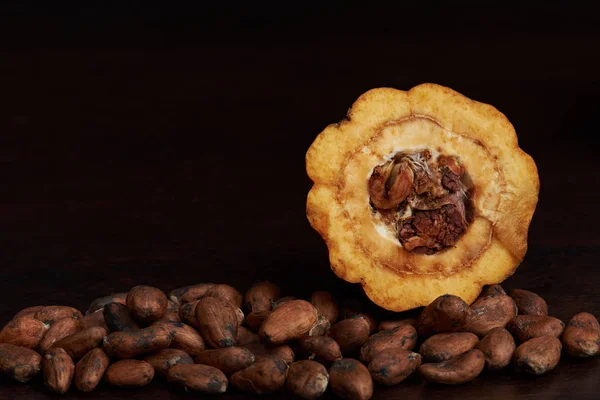 Vaina de cacao con semillas — Foto de Stock