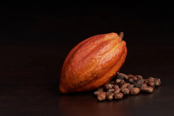 Vaina de cacao crudo orgánico — Foto de Stock