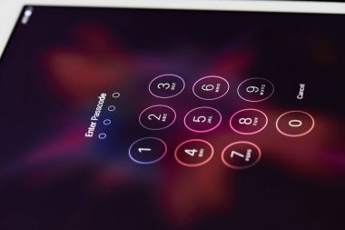 Giriş kodu kollarında smartphone cep telefonu ile