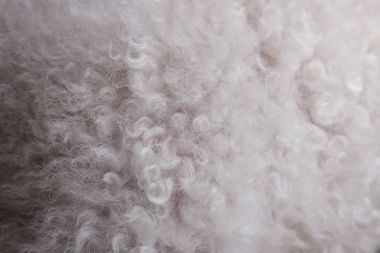 Kıvırcık beyaz saç yakın çekim