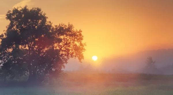 Dimmiga sommaren sunrise — Stockfoto